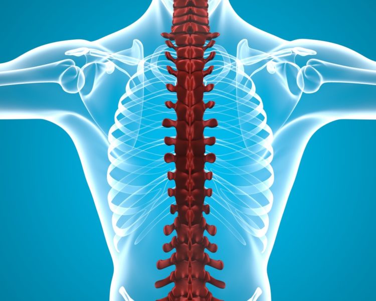 AMETHYST LAW GROUP Serving Florida Miami, Tampa, Orlando, Melbourne